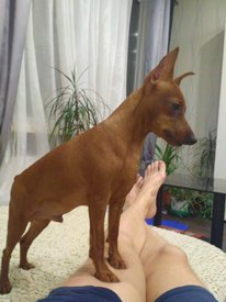 IMG_20190303_232930.jpg (91.68 КБ, Просмотров: 3567) IMG_20190303_232930.jpg