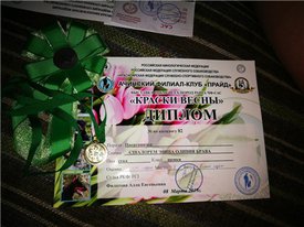 оливия диплом.jpg (51.73 КБ, Просмотров: 13924) оливия диплом.jpg