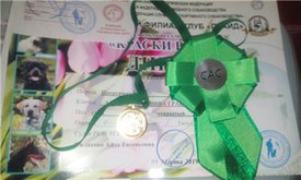 циля САС.jpg (36.43 КБ, Просмотров: 13924) циля САС.jpg