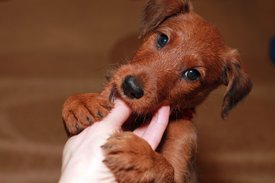 IMG_1470.jpg (149.91 КБ, Просмотров: 2424) IMG_1470.jpg