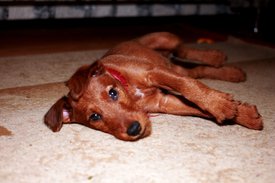 IMG_1622.jpg (168.66 КБ, Просмотров: 2387) IMG_1622.jpg