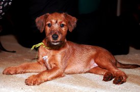 IMG_1614.jpg (193.34 КБ, Просмотров: 2387) IMG_1614.jpg