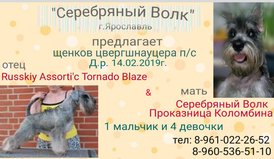 53034418_2135776310068625_7053560185322733568_n.jpg (75.64 КБ, Просмотров: 2659) 53034418_2135776310068625_7053560185322733568_n.jpg