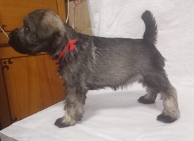 IMG_20190331_111906_092.jpg (65.42 КБ, Просмотров: 2300) IMG_20190331_111906_092.jpg