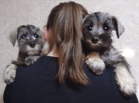 IMG_20190428_081355_270.jpg (56.3 КБ, Просмотров: 2183) IMG_20190428_081355_270.jpg