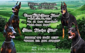 презент.jpg (210.5 КБ, Просмотров: 1530) презент.jpg