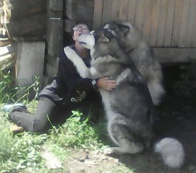 0vSwCjFRE-w.jpg (138.71 КБ, Просмотров: 8518) 0vSwCjFRE-w.jpg