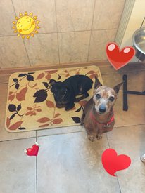 Яков и рон.jpg (199.37 КБ, Просмотров: 12929) Яков и рон.jpg