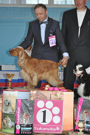 N0PWO.jpg (183.78 КБ, Просмотров: 3156) N0PWO.jpg