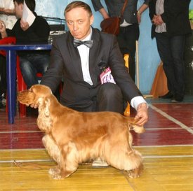 Z3c7Lqoi перчик в крске.jpg (56 КБ, Просмотров: 3175) Z3c7Lqoi перчик в крске.jpg