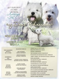 44(1).jpg (354.3 КБ, Просмотров: 1993) 44(1).jpg