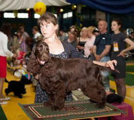 Fcz-81_новый размер.jpg (166.18 КБ, Просмотров: 3155) Fcz-81_новый размер.jpg