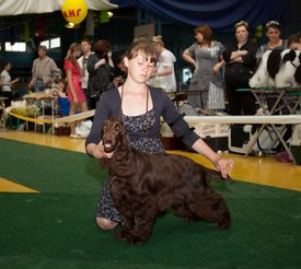 Fcz-95_новый размер.jpg (164.71 КБ, Просмотров: 3174) Fcz-95_новый размер.jpg