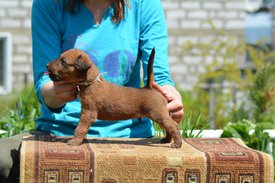 61737008_2184223935007389_2711918457514885120_n.jpg (126.16 КБ, Просмотров: 2499) 61737008_2184223935007389_2711918457514885120_n.jpg