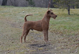 ММ PP.jpg (284.54 КБ, Просмотров: 2421) ММ PP.jpg