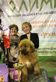18118790_1349076785187403_1933155859378105740_n.jpg (96.14 КБ, Просмотров: 2104) 18118790_1349076785187403_1933155859378105740_n.jpg