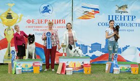 бус.jpg (185.36 КБ, Просмотров: 1594) бус.jpg