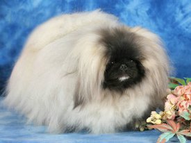 C890B907-E951-44C0-8711-142450E08EB6.jpeg (202.82 КБ, Просмотров: 1657) C890B907-E951-44C0-8711-142450E08EB6.jpeg