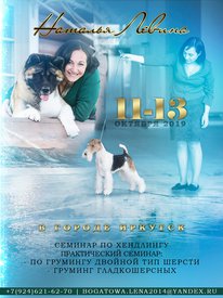 69233326_464953707421002_8818563354797801472_n.jpg (192.73 КБ, Просмотров: 20821) 69233326_464953707421002_8818563354797801472_n.jpg