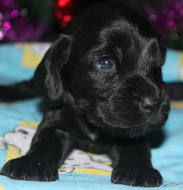 IMG5489JPG.jpg (99.91 КБ, Просмотров: 3273) IMG5489JPG.jpg