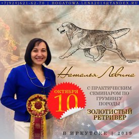 71181312_574499843086631_5524728595915735040_n.jpg (84.29 КБ, Просмотров: 8149) 71181312_574499843086631_5524728595915735040_n.jpg