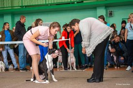 72542209_2477543715904257_4567594605721157632_n.jpg (69.82 КБ, Просмотров: 7074) 72542209_2477543715904257_4567594605721157632_n.jpg