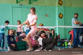 72452842_2477543809237581_3875032529400496128_n.jpg (61.99 КБ, Просмотров: 7074) 72452842_2477543809237581_3875032529400496128_n.jpg