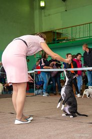 72436960_2477544302570865_3552401754425393152_n.jpg (61.88 КБ, Просмотров: 7074) 72436960_2477544302570865_3552401754425393152_n.jpg