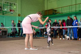 72370534_2477544052570890_8417267290269024256_n.jpg (66.18 КБ, Просмотров: 7074) 72370534_2477544052570890_8417267290269024256_n.jpg