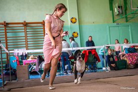71023388_2477543909237571_1840504167643217920_n.jpg (70.68 КБ, Просмотров: 7418) 71023388_2477543909237571_1840504167643217920_n.jpg