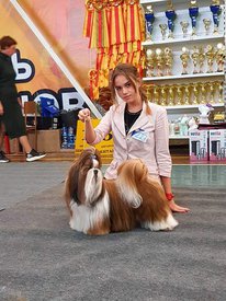 71289740_2470087209983241_6471684222288396288_n.jpg (108.11 КБ, Просмотров: 7074) 71289740_2470087209983241_6471684222288396288_n.jpg