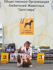 71391853_2470087329983229_6035340571789230080_n.jpg (77 КБ, Просмотров: 7074) 71391853_2470087329983229_6035340571789230080_n.jpg