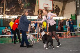71106360_2468827673442528_4822216209946640384_n.jpg (78.61 КБ, Просмотров: 7422) 71106360_2468827673442528_4822216209946640384_n.jpg