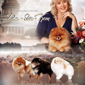 61987230_10219142302849946_441588200704573440_n.jpg (210.87 КБ, Просмотров: 11445) 61987230_10219142302849946_441588200704573440_n.jpg