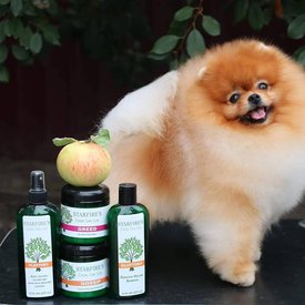 71473591_10220236914974565_3489982711244783616_n.jpg (62.47 КБ, Просмотров: 11445) 71473591_10220236914974565_3489982711244783616_n.jpg