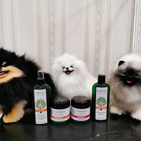 71884870_10220236916174595_8657545756720234496_n.jpg (80.31 КБ, Просмотров: 11445) 71884870_10220236916174595_8657545756720234496_n.jpg