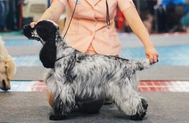 8E195C2D-B243-4C0A-AB72-FA063130CF8D.jpeg (77.78 КБ, Просмотров: 2954) 8E195C2D-B243-4C0A-AB72-FA063130CF8D.jpeg