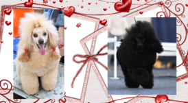 фото 2 — копия.png (473.37 КБ, Просмотров: 1283) фото 2 — копия.png