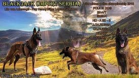 папа.jpg (456.93 КБ, Просмотров: 3279) папа.jpg