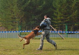 AA-iWR7I7Dw.jpg (295.36 КБ, Просмотров: 3276) AA-iWR7I7Dw.jpg