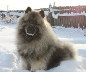 Screenshot_20200112_100400.jpg (215.25 КБ, Просмотров: 4008) Screenshot_20200112_100400.jpg