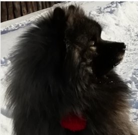 Screenshot_20200112_100149.jpg (200.01 КБ, Просмотров: 4007) Screenshot_20200112_100149.jpg