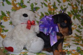 DSC_0516_1.jpg (443.25 КБ, Просмотров: 1398) DSC_0516_1.jpg