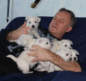 20200202_190948.jpg (82.94 КБ, Просмотров: 2153) 20200202_190948.jpg