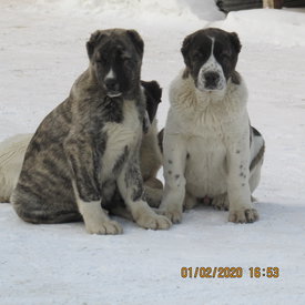 IMG_2092.JPG (304.35 КБ, Просмотров: 1172) IMG_2092.JPG