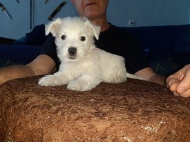 20200210_124237.jpg (128.97 КБ, Просмотров: 2106) 20200210_124237.jpg