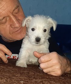 20200210_222136.jpg (50.92 КБ, Просмотров: 2106) 20200210_222136.jpg