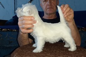 20200210_222503.jpg (68.56 КБ, Просмотров: 2303) 20200210_222503.jpg