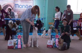 _DSC3361.jpg (85.12 КБ, Просмотров: 9575) _DSC3361.jpg