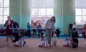 _DSC3362.jpg (80.31 КБ, Просмотров: 9542) _DSC3362.jpg